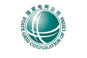 國家電力公司